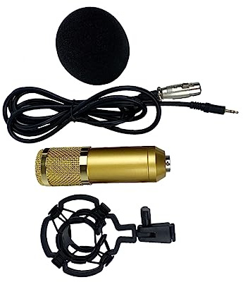 Didiseaon Microfono a Condensatore Oro Bm-800 Doppia Maglia Elastica | Bassa Rumorosità, Corpo in Plastica, Testa Sonora a Grande Diaframma, Resistenza alla Corrosione