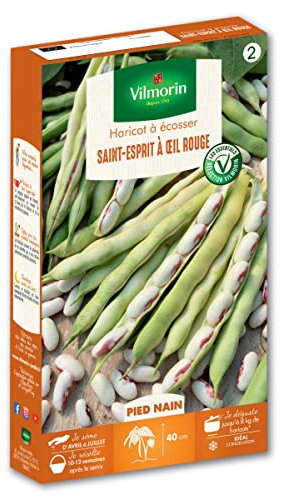 Graines de Haricot à Ecosser Saint Esprit à Oeil Rouge