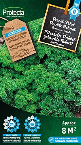 Persil Frisé Double Robust- Protecta Graines paysanne