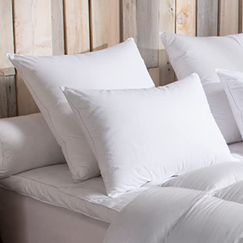 DODO - Oreiller 40x60 cm - Soutien Moelleux (Ventre et Dos) - 90% Duvet d'oie Neuf Naturel - Confort Douillet - Anti-acariens - Enveloppe 100% Percale de Coton - Lavable 40°C