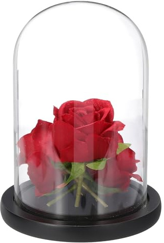 sourcing map Glass Cloche Display Dome, 7 x 4.7 Glass Dome Display Case Wood Base Tabletop Jar Case Decorative Bell Jar for Plant Home Decor Office Wedding Party, Black