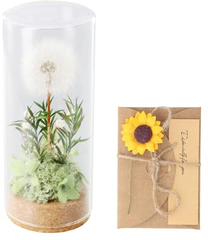 QINGZY Flor de Diente de León Real en Vidrio Regalo Decorativo para Mujeres, Pluma de Deseos Flores Preservadas Seca en Cristal Amuleto de Suerte, Ideas de Regalo