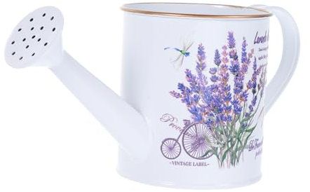 Cabilock Regadera para Flores con Patrones Brillantes Pequeña Regadera de Metal para Plantas de Exterior Decoración de Jardín