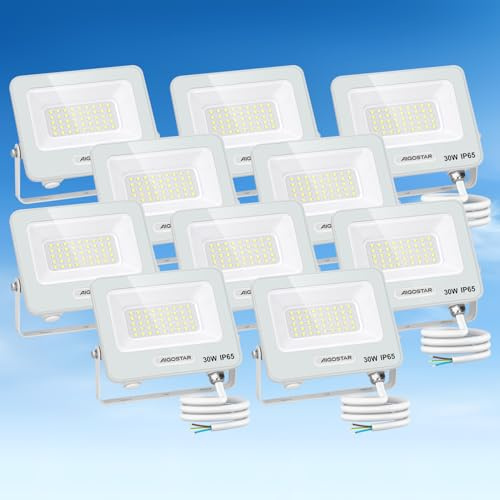 Aigostar Faretto LED da Esterno 30W, 2450LM, Faretti LED Esterno luce bianca 6500K, Luce di Sicurezza Impermeabile IP65, Per Giardino, Cortile, Garage, Corridoio, Confezione da 10