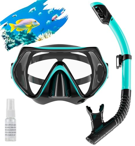 Snorkel Set Adults, Scuba Snorkelling Packages with 180° Panoramic Anti-Fog Tempered Glass Snorkel Mask, Leak Proof Dry Top Snorkel for Snorkeling Diving Swimming with Anti Fog Spray
