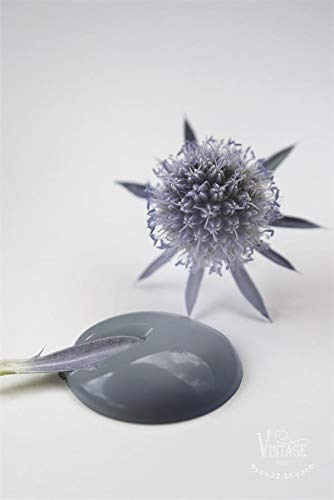 Jeanne d'arc Living Peinture à la Craie Vintage à Base d'eau Bleu pétrole et écologique 700 ML