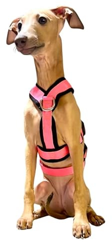 3-Punkt-Gurt mit Anti-Ziehen, ideal für Lebreles: Italienischer Windhund, Whippet, Windhund, Podenco – sicher, atmungsaktiv und langlebig beim Gehen, Training und Laufen, Rosa, XS