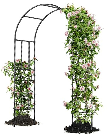 Caroeas Arche de Jardin pour Plantes Grimpantes,120x240x40cm，Arceau Métallique pour Rosiers, Tonnelle Décorative Extérieure, Résistante à la Rouille et à la Décoloration