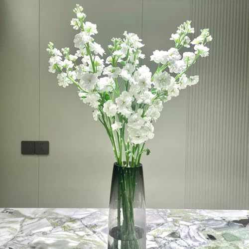 levkojen usambaraveilchen veilchen winterharte garten, frühlingsblume schattenpflanzen 100samen