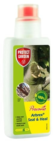 Protect Garden Provanto Arbrex Seal & Heal Tree Wound Treatment, Ready to Use Brush Applicator, Pruning Cut Sealant for Trees, Shrubs & Fruit Plants, 300g