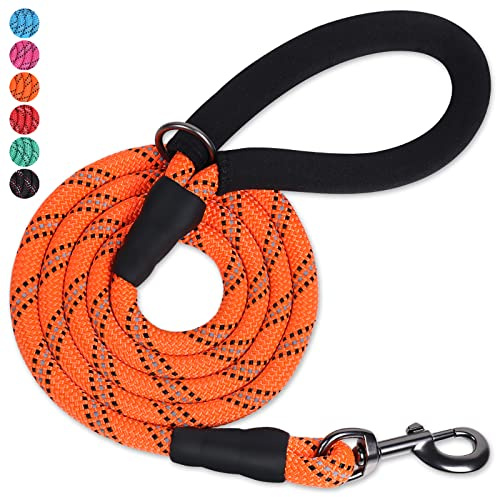 VIVAGLORY Laisse pour Chien en Corde Solide avec Poignée Rembourrée en Néoprène Doux et Fils Réfléchissants, Laisse de 150CM pour Entraînement et Promenade Chiens Petits Moyens, Orange