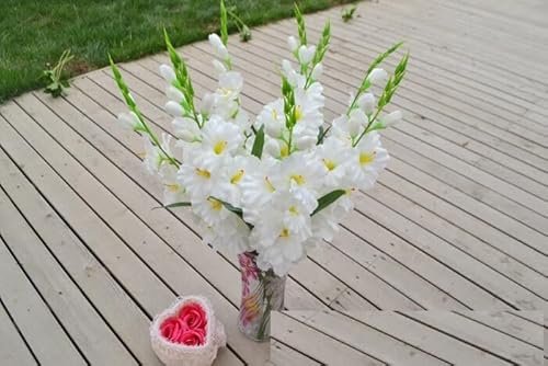 5 PCS Artificial Gladiolus Flower with Stem Lifelike DIY Flower Arrangement Ornament Wedding Gladiolus Flower for Home Farmhouse Office Decoration (white)