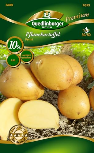 Quedlinburger 84009 Pflanzkartoffel Penni (10 Stück) (gelb, festkochend, früh)