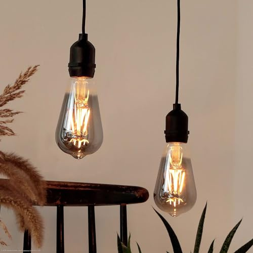 hellum 2x Hängelampe mit Batterie, Fernbedienung Timer outdoor Ø6,4x13,8cm | Dimmbare Glühbirne outdoor rauchgrau mit Batterie (8xAA), Edison Vintage, ST64, Retro Birne für Pavillon, Garten 151435