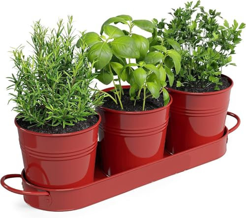 BSTMOME Kräutertopf-Pflanzgefäß-Set mit Tablett, dekorativer Metall-Blumentopf, Sukkulentententöpfe, Fensterbank, Übertöpfe für Küche, Anbau, Garten, Außenbereich (rot)
