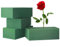 4 Pièces Mousse Fleur a Piquer, Mousse Florale pour Fleurs Artificielles et Fraîches, Bloc Mousse Florale Pour Présentations Florales, Mariages et Arrangements Fêtes