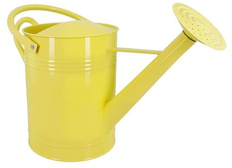 Arrosoir galvanisé pour plantes d'intérieur et d'extérieur – 5 litres – Arrosoir décoratif de style campagne avec bec amovible, arrosoir en métal parfait pour plantes d'intérieur et fleurs de jardin