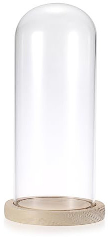 SUMNACON Glass Display Cloche Dome with Wooden Base, Decorative Clear Display Bell Jar Glass Cover Dome Cloche Showcase for Plant, Collection, Toy, Crystal (10*25cm)