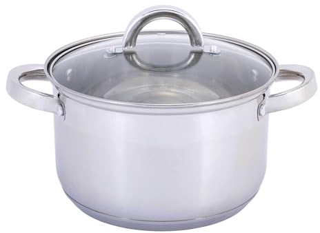 4BIG.fun Olla de acero inoxidable de 2 L, 16 cm, con tapa de cristal, para inducción