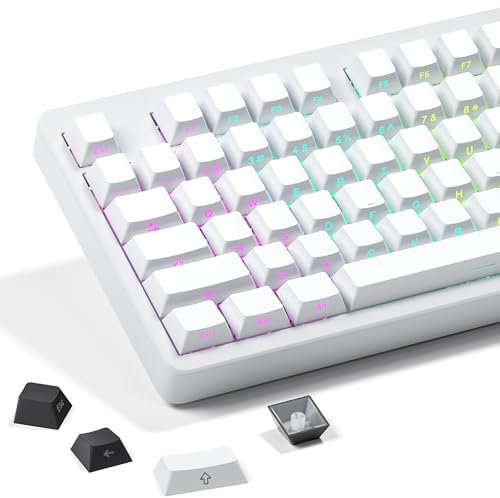XVX White Side Print PBT Keycap Set - Double Shot Shine Through Custom 136 Keys, OEM Profile, Minimalist Style Phantom for Mechanical Keyboards