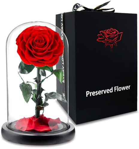 APKOL Echte Ewige Premium Rose im Glas Kuppel, Infinity Rose Geschenke für Frauen, Rosen Geburtstagsgeschenk für Frauen, Geschenke für Freundin,Geschenke für Mama, Geburtstage,Rot