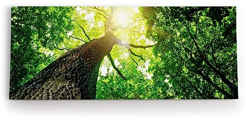 Paul Sinus Wandbild 120x50cm Baum Sonnenstrahlen Baumkrone Grün Natur