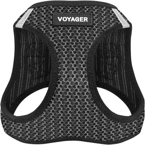 Best Pet Supplies Voyager à Toutes Les intempéries Harnais Ajustable en Maille Filet Harnais pour Chiens, INC