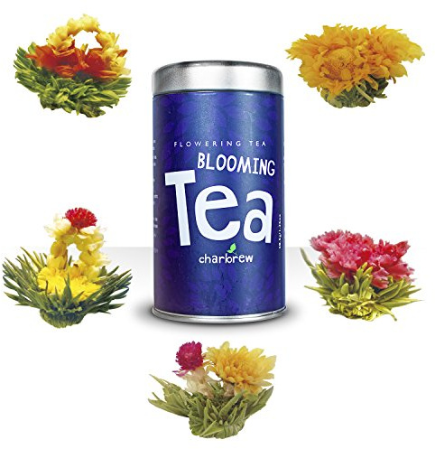 Charbrew Flowering Tea Individually Sealed Green & Jasmine Balls - 5 Blooms | Blooming Flower Balls