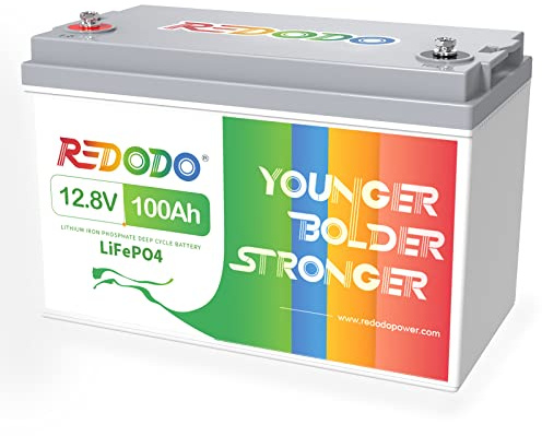 Redodo 12V 100Ah LiFePO4 Batterie mit 100A BMS, Group31, 1280Wh, IP65 | Ideal für Wohnmobilen, Notstromaggregaten, Solaranlagen, Bootsausrüstung, Marine, BootNotstromaggregaten, Elektromotoren