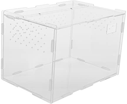 HAPINARY Reptilien-futterbox Aus Transparente Box Zum Füttern Leicht Und Kompakt Mit Atmungsaktivem Für Spinnen Eidechsen Und Andere Kleintiere
