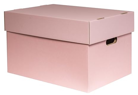 karton-billiger | Aufbewahrungsboxen mit Deckel Archivbox Geschenkbox aus Pappe, 100% recyling, ROSA, 2 Größen! (3, XL - 50x35x30,5cm)