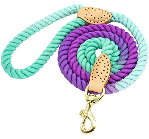 NFEGSIYA Schleppleine Hundeleine 4 Farben dauerhafte Nylon hundeleine Haustier welpen wandern Training hundeleine Leine Hunde leinen Gurt gürtel baumwolltraktion Seil 5ft (Color : Purple)