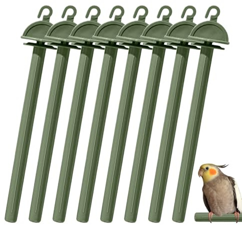 Jouet de bâton de broyage de Patte d'oiseau, perchoirs d'oiseau pour