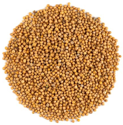 Graines de Moutarde Blanche Entières - Épice Culinaire en Vrac | idéales pour pickles marinades et condiments faits maison