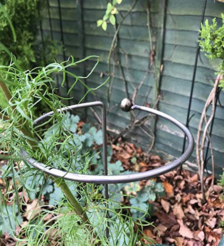 GAP GARDEN PRODUCTS - Medium Wrap Around Plant Support ready 2 rust (Bare metal that will age over time to give a rustic patina look) (pack of 4)