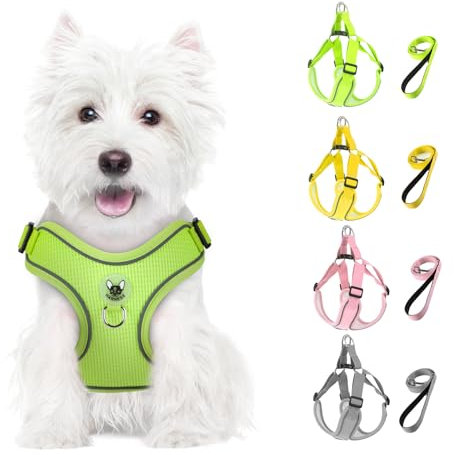 Feycig Hundegeschirr Kleine Hunde, Anti Zug Einstellbar Reflektierend Geschirr, Atmungsaktiv Weiches aus Mesh Geschirr Hund Leichtes Welpengeschirr Brustgeschirr mit Griff (Grün, Small)