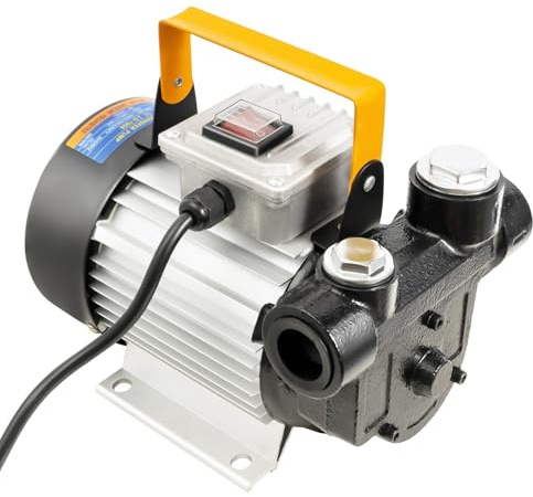 Pompa diesel, pompa dell'olio combustibile, 220 V, 550 W, pompa dell'olio autoadescante, pompa di riempimento del carburante, tubo diesel e filtro pompa di travaso per cantieri, agricoltura e kra