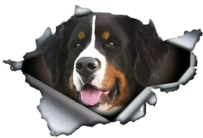 Autoaufkleber 25cm(9.8 Inch) Berner Sennenhund Aufkleber Lustig Bernese Mountain Dog Car Sticker Berner Sennenhund Hund Wasserdichte Aufkleber Personalisieren 3D Zerrissen Reflektierende Aufkleber
