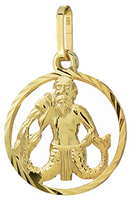 NKlaus Wassermann Sternzeichen 585 Gelb Gold 14 Kt 15mm Kettenanhänger Horoskop Zodiak 13328