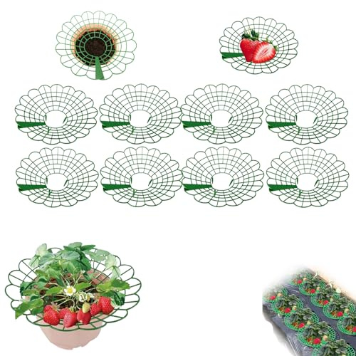 Erdbeeren Schutz Vögel,erdbeeren Schutz,erdbeerreifer,unterstützung Für Erdbeerpflanzen,schneckenkragen 20 Stück,erdbeerstützen,erdbeer-pflanzenschutz,schneckenschutz,erdbeerturm,erdbeerständer-10pcs