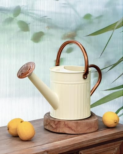 Bamworld Annaffiatoio da 2,4 Litri e in Acciaio Zincato per Piante da Interno con Beccuccio Lungo - Ideale per Piante Domestiche e Fiori da Giardino (Bianco Creme)