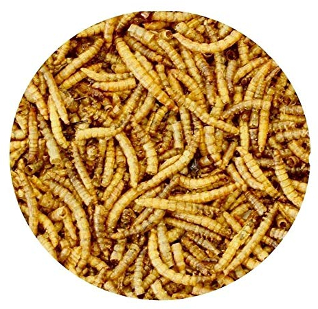 Mehlwürmer 6 Kg Premium Snack für Vögel, Fische, Reptilien, Schildkröten, Igel, Nager, Wildtierfutter