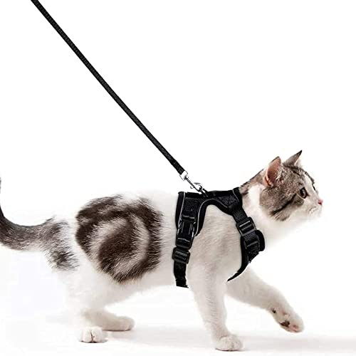Pettorina per Gatti, Pettorina per Cani Taglia Piccola, Imbracatura per Gatti, Pettorina Gatto Antifuga, Collare Luminoso per Cani, Gatti Accessori (XS, Nero)