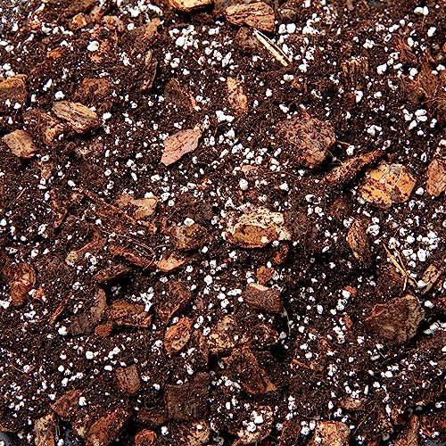 Premium Orchid Potting Mix – Fine Bark, Coco Coir & Perlite Orchid Soil for Repotting, Enriched with Organic Nutrients (2L)