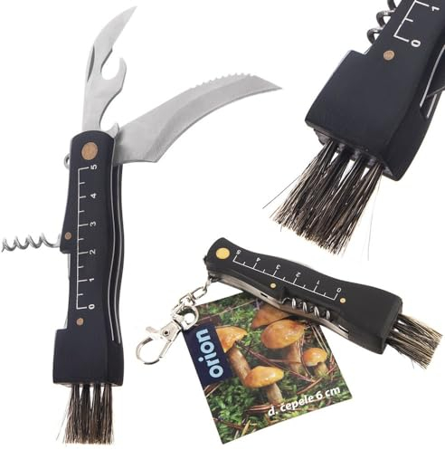 Pilzmesser Taschenmesser Klappmesser aus Edelstahl