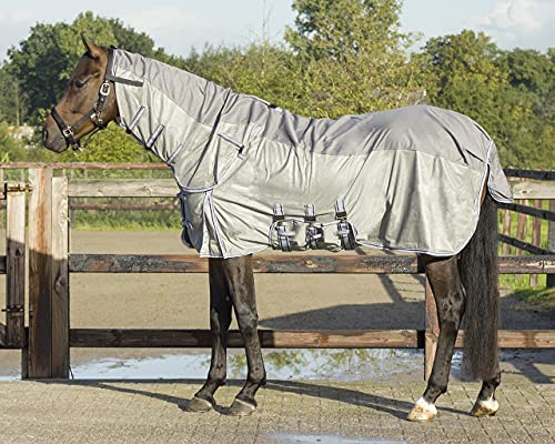 QHP Fliegendecke Combo mit Hals Check 3 Bauchgurte Frontverschuss Gehfalten
