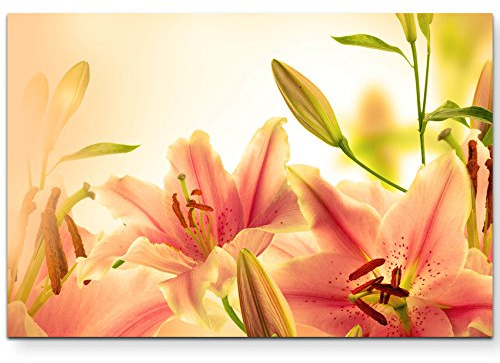 Paul Sinus Art Leinwandbilder | Bilder Leinwand 120x80cm Rosa Lilien in Nahaufnahme mit hellem Hintergrund