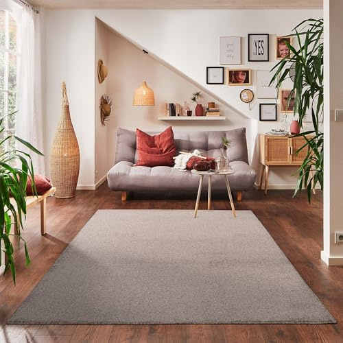 Carpettex Teppich Wohnzimmerteppich, kurz, modern, Farbe und Größe wählbar, beige, 120x170 cm