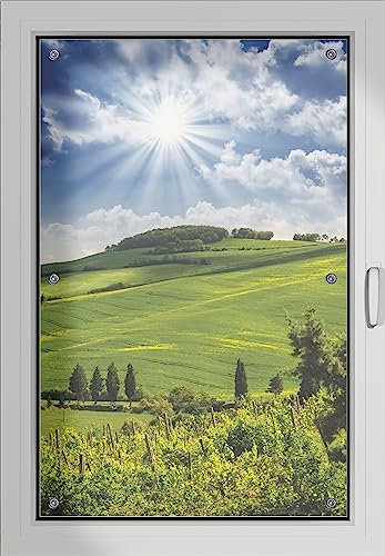 Wallario Lichtschutzbild, Dekorativer Sichtschutz Sonnenschutz 60 x 93 cm mit Motiv: Strahlender Sonnenschein - Verdunklungsrollo ohne Bohren