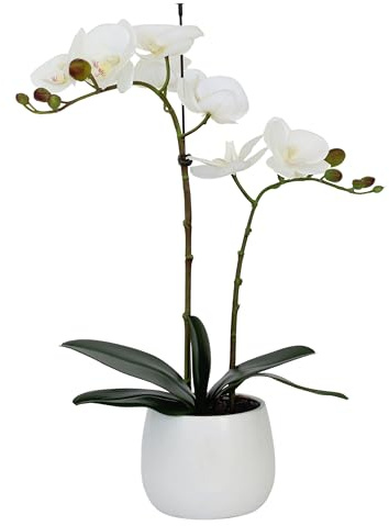 Elegant Double Stem White Real Touch Artificial Potted Orchid (46cm) in Round White Ceramic Pot